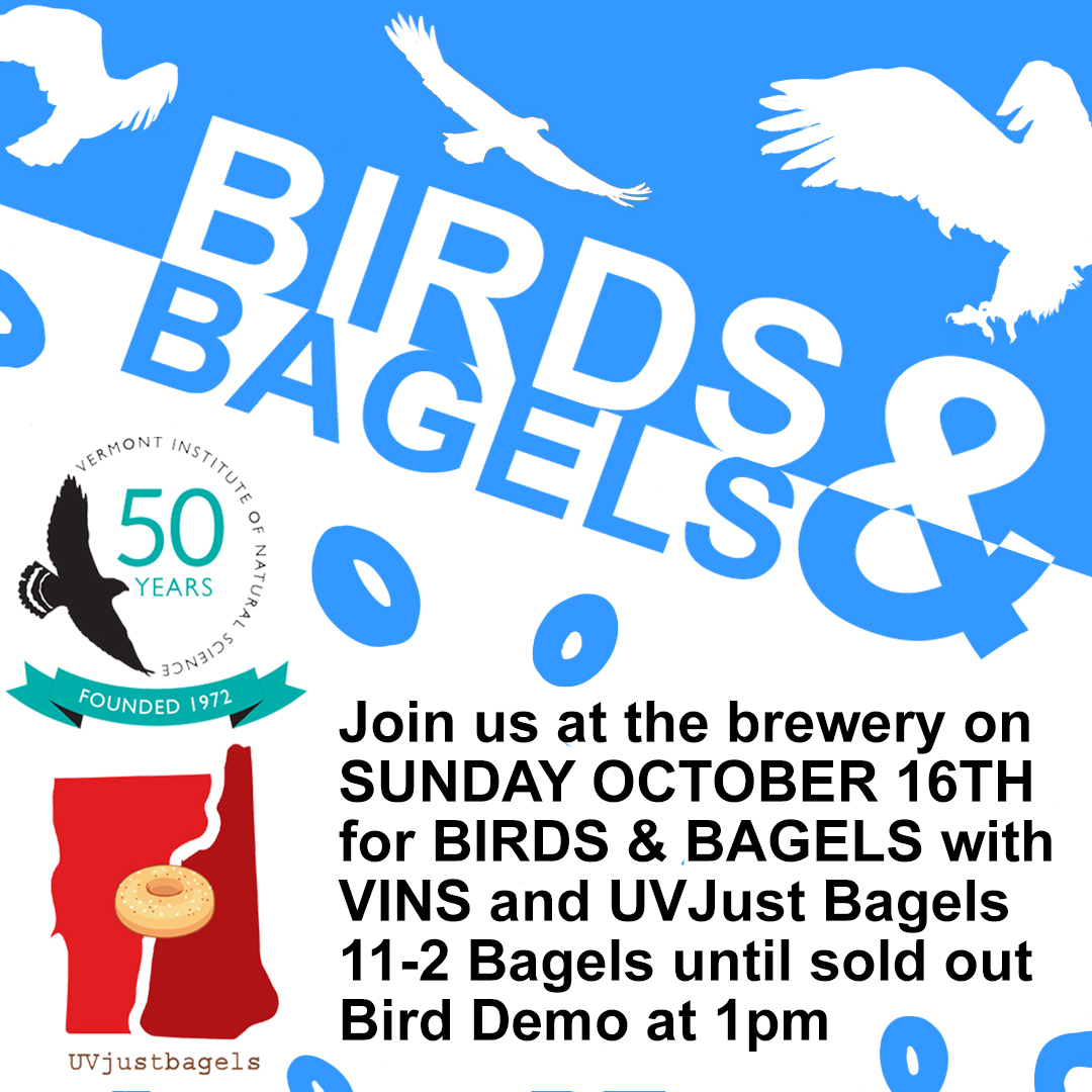 Birds and Bagels